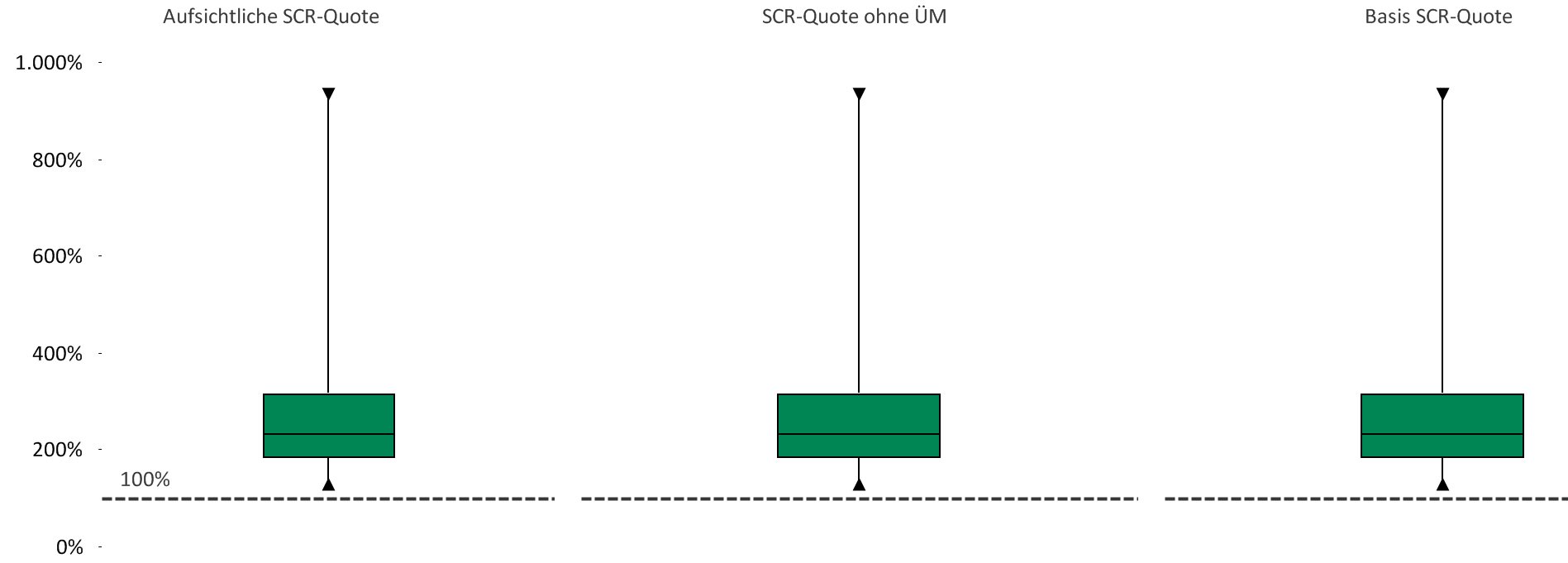 Berechnung der Solvenzquote